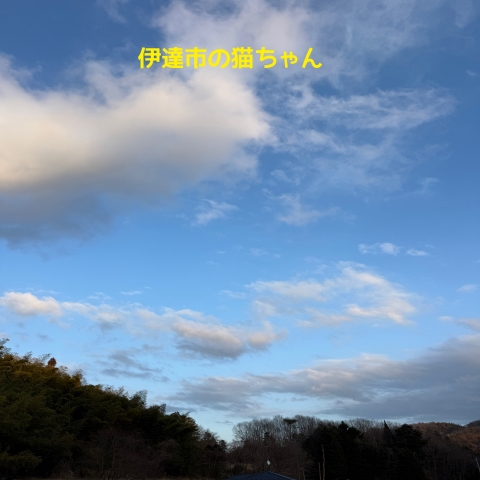 持ち込み火葬の様子です