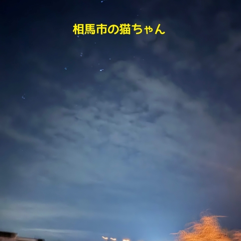 相馬市でペット火葬を行った時の星空