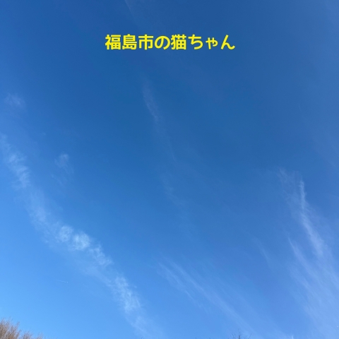 福島市内でペット火葬をした際の空の様子