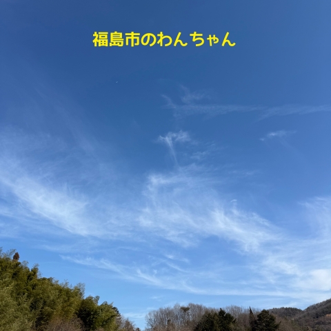 福島市大波のペットメモリアルルームでペット火葬をした際の空の様子