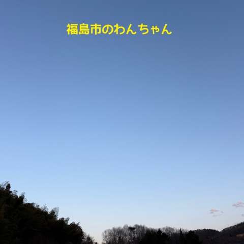 福島市大波のペットメモリアルルームでペット火葬をした際の空の様子