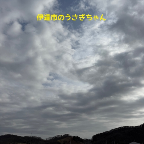 伊達市のうさぎちゃん火葬の際の空